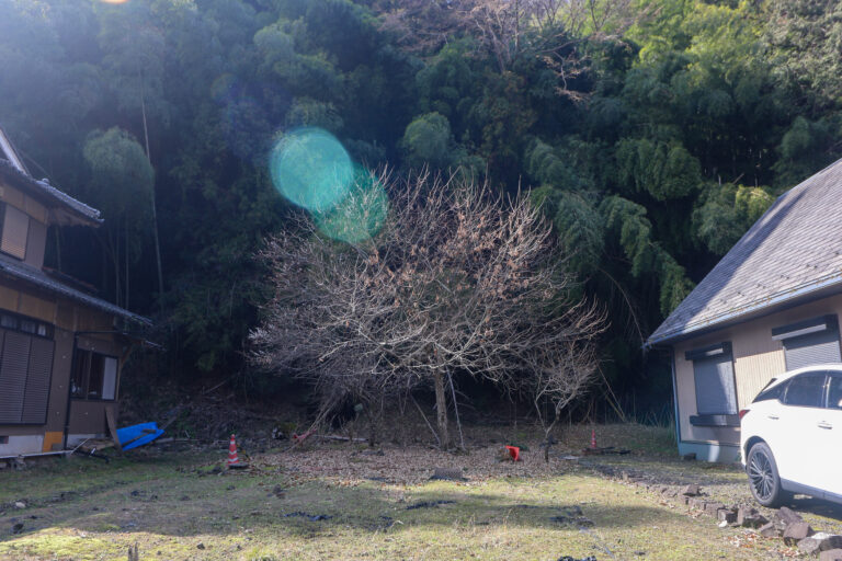 都会に飽きたあなたへ。大自然を浴びるように暮らす、山奥の３５０万円