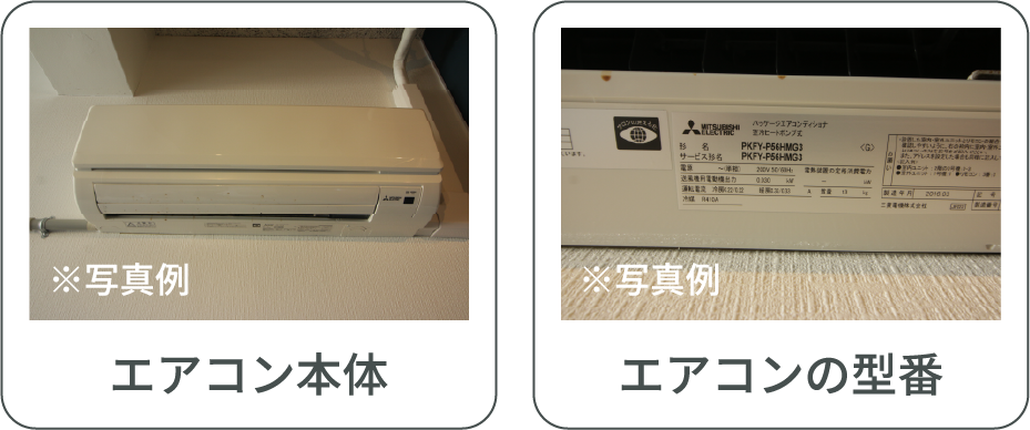 写真例